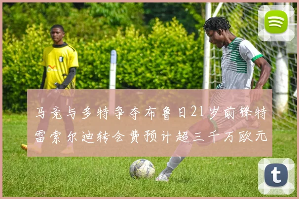 马竞与多特争夺布鲁日21岁前锋特雷索尔迪转会费预计超三千万欧元