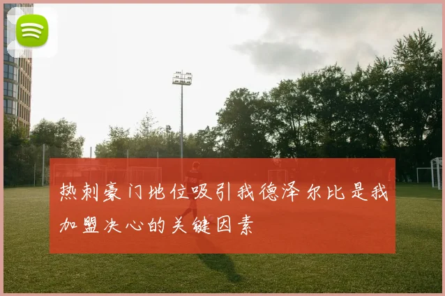 热刺豪门地位吸引我德泽尔比是我加盟决心的关键因素